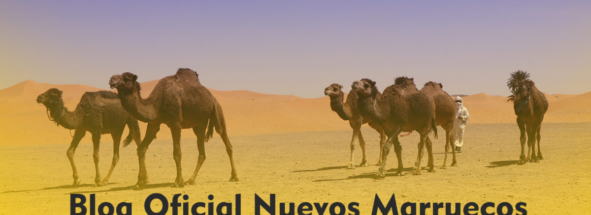 blog nuevo marruecos