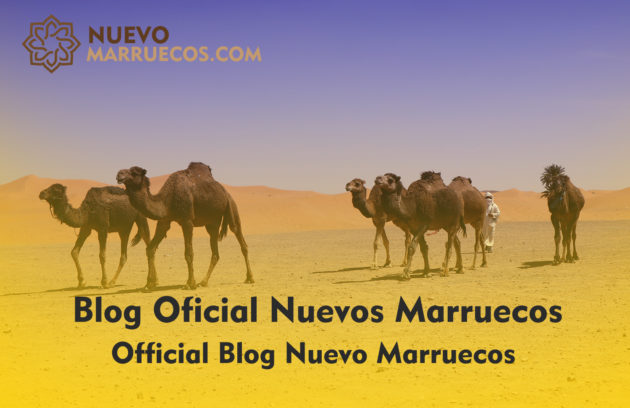 blog nuevo marruecos